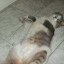 Rhonda Plummer - @sheenaxz - Twitter