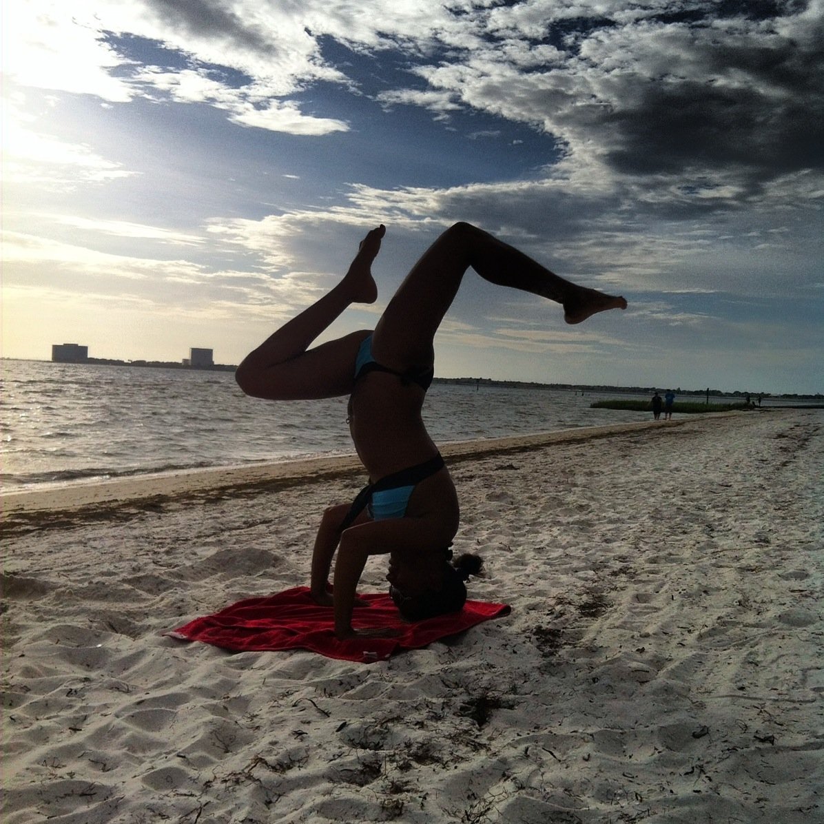 Fitness enthusiast exploring Tampa Bay and sharing my finds. Sandradfitnesswarrior@Gmail.com