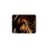 7417521's profile image