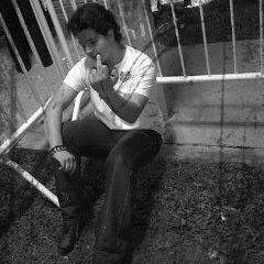 NicolasLeon14's profile picture. 