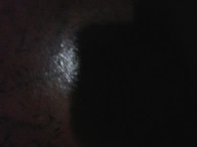a conta nova -- @without_sentido