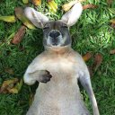 James Hickox - @jdrhuk - Twitter