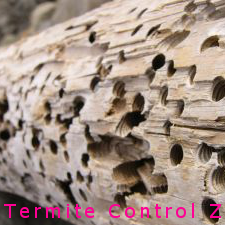 Termite Control Zone