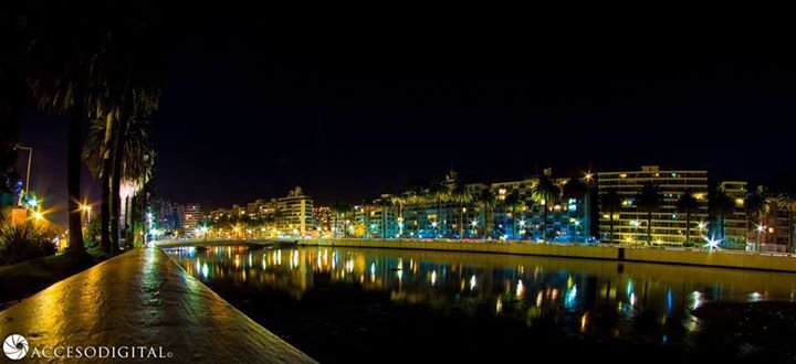 anto_narvaez's profile picture. 