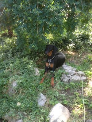 jtureski1979's profile picture. 