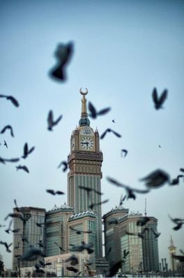 ‏‏‏‏‏‏‏‏‏وحش يدمر كل من يتطاول على الإسلام وأهله                                        استغفر الله     استغفر الله     استغفر الله