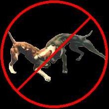 Is on a mission against the dogfighting crime and needs justice. Come sign the petition on http://t.co/RcQ37aMzf0 #stop dogfighting #anti dogfighting #help