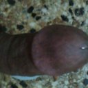 tito net (@0100e0169747429) Twitter
