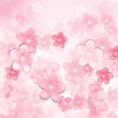 redroe2's profile picture. معلمة رياض أطفال🌱 - نبض في الرياض ونبض آخر في جازان ،حساب شخصي🤍