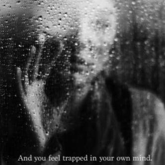 learningtolivez's profile picture. Esse twitter foi feito para divulgar a fic Learning To Live.