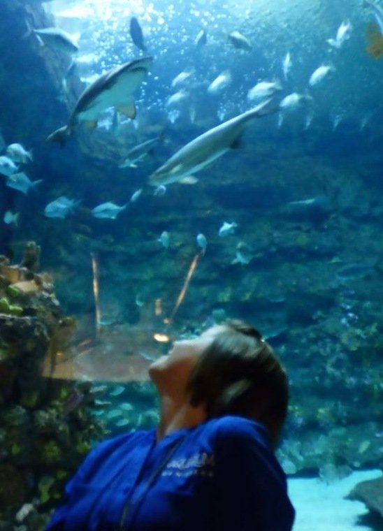 Aquarist, Biologist, Conservationist, Penguin mom, and Wife. I also enjoy baking cupcakes, gardening, and listening to country music.
