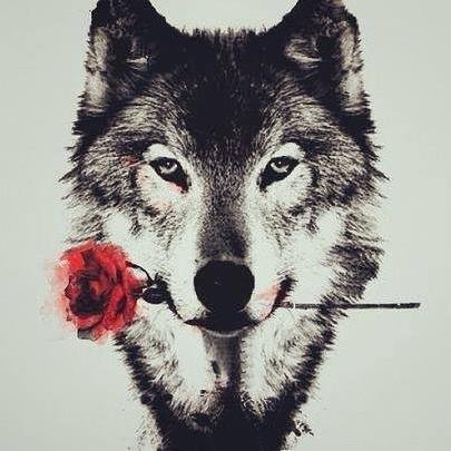 SumersideWolf's profile picture. It's my nature to be kind and loving BUT KNOW THIS when it comes to friends & family, do not trifle with me for I'm also a powerful and relentless creature