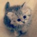 razan_ alsubhi (@razan_alsubhi) Twitter profile photo