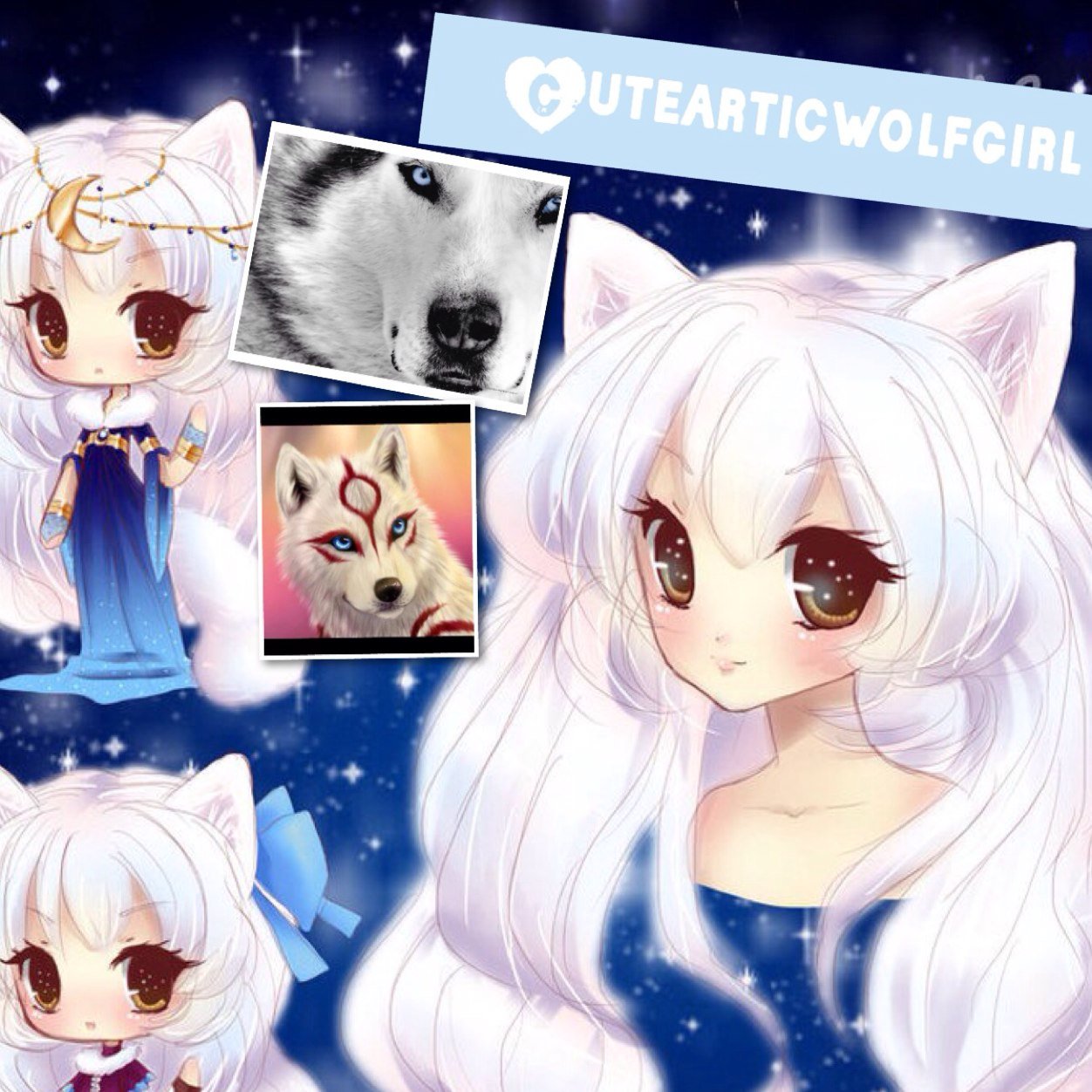 Hi im cutewolfygirl but call me WOLFy! And yea im a girl... I like games and im a gamer girl i like to draw,math,reading,gaming,musics,dance,sing,and have fun:D