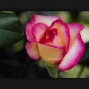 تم الغاء الحساب (@00Norr) Twitter