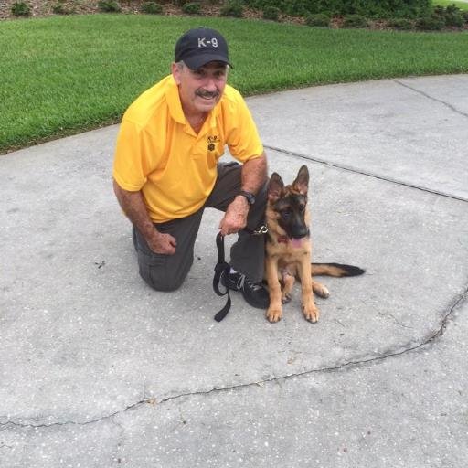 Central FL K9 and Orlando Fl Dog Trainer, Bob Gailey. Your most experienced Central FL Dog Trainer.