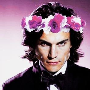 janosquestide's profile picture. 