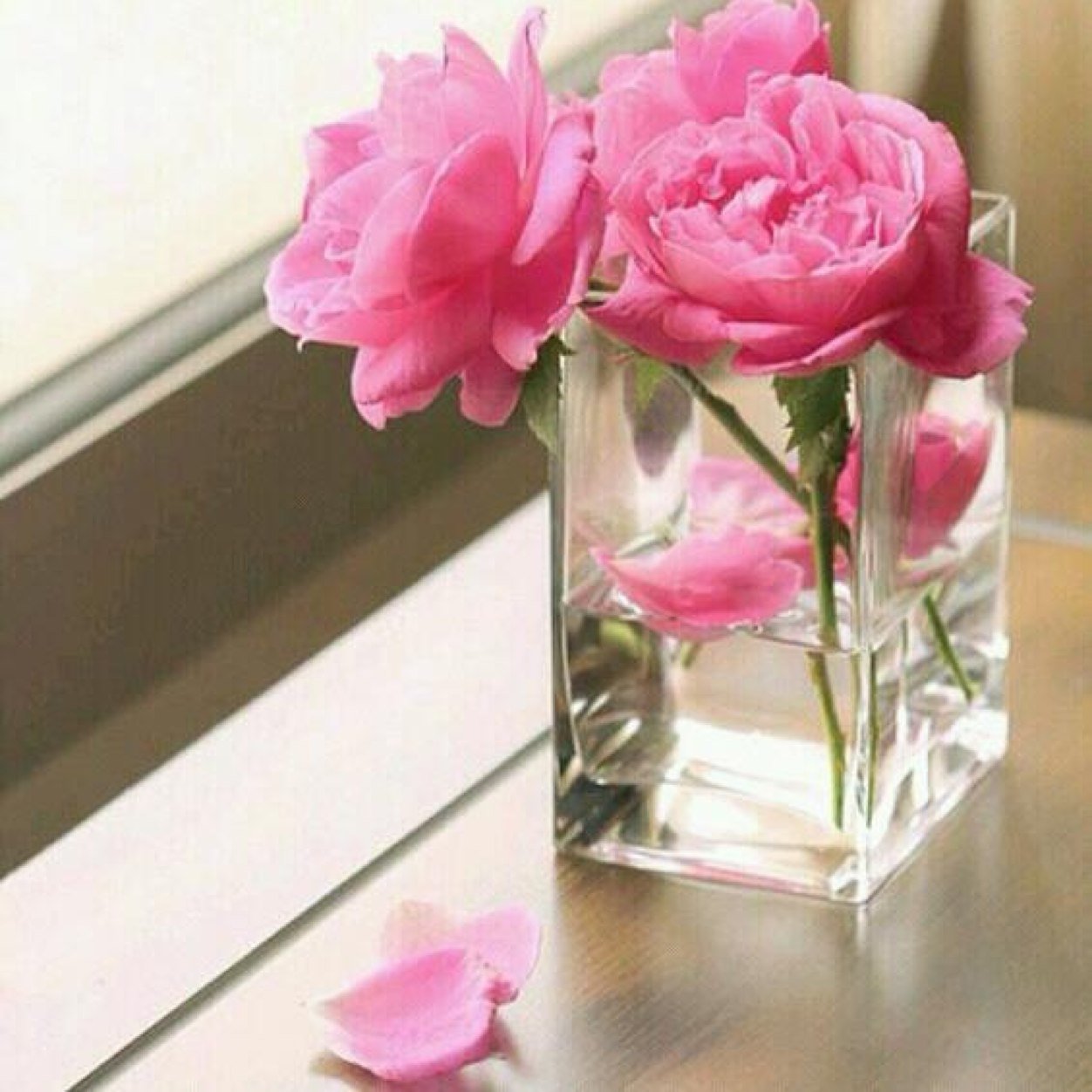 .. ( إِنَّمَا يُوَفَّى الصَّابِرُونَ أَجْرَهُمْ بِغَيْرِ حِسَابٍ)