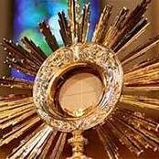 Bringing Catholics closer to Christ
 - DM me for prayer requests/questions