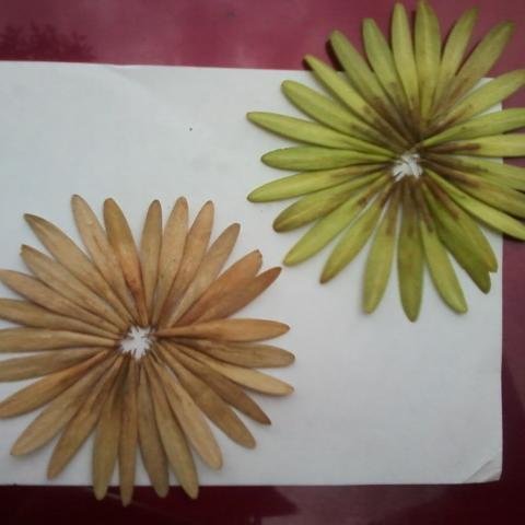 Josie_Wright_xx's profile picture. Come on and save #StarCrossed!