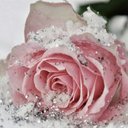 Nancy Hettinger - @NancyHettinger - Twitter