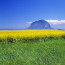 Manki Lee - @20000lmk - Twitter