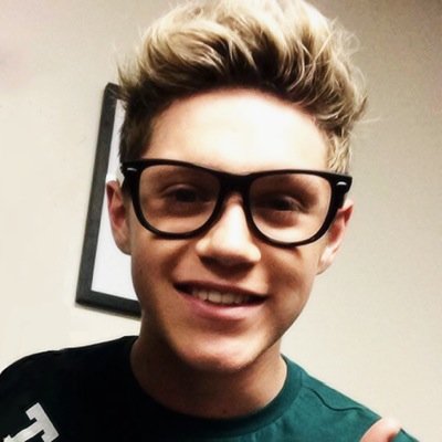H-Hi im Niall. | Nerd | Shy| Student | I-I get bullied. | .... Im not who you think I am.