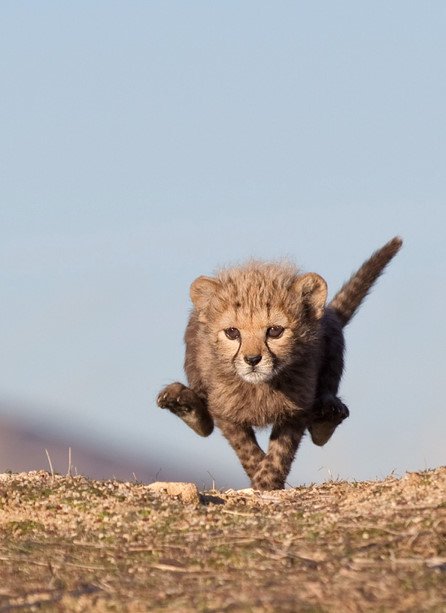 Freemyloop's profile picture. 