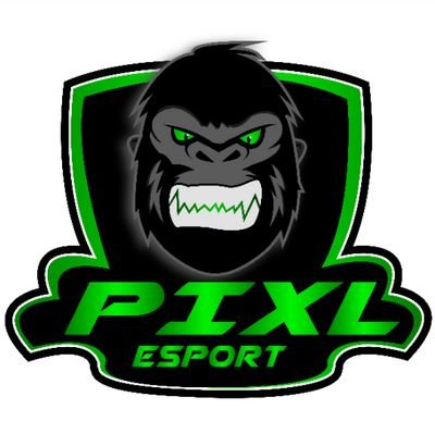 Composition : @AdemZimR @GeriiCow (c) @GhostThP @SSSOFIAN_YF | Représentant la : @PixL_eSports