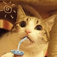 Luminol (@j262byuu) 's Twitter Profile