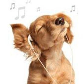 Tu programa radial veterinario...por que las mascotas se lo merecen! Sábado de 9:00 a 10:30 am por 90.5 FM, http://t.co/muXiccn1rj con la @Doctorachang