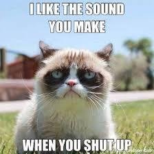 Funny Videos Cat Channel is the most funny channel on youtube