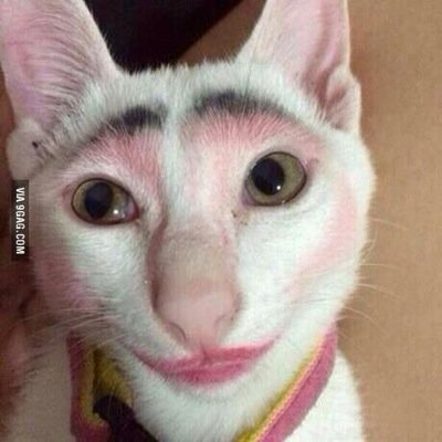 tweetoqquiser's profile picture. FEAT @RECAD1NHOS