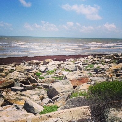 coolgirl11542's profile picture. 