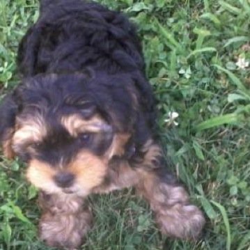 patty_shawn's profile picture. 