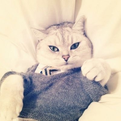 aleksa210221's profile picture. я это я :))