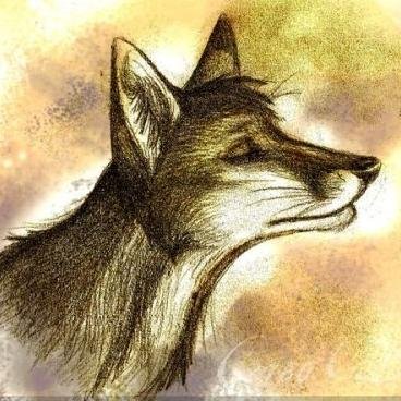 vtvz_me's profile picture. 