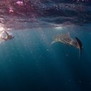 Harry Crook - @HarryJCrook - Twitter