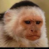 Hanumdan25's profile picture. ÇİRKİN erkekler lütfen takip etmesin