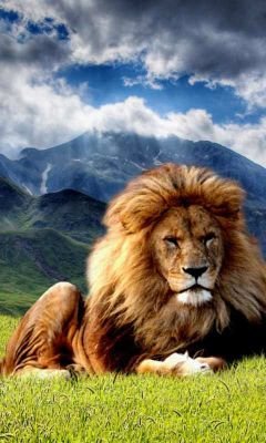 CuevasMathews's profile picture. 42,no injusticias.amigo fiel