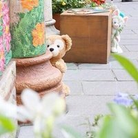 ももにや💓1y🐘 (@moyo58911) Twitter profile photo