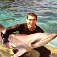 Paul (@paulmacca84) 's Twitter Profile