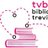 TVbiblioTV's profile image