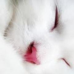 check my profile! if u think I'm funny, please follow me! I'M A 1D CRAZIER! ^ ^)