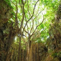 ガンガラーの谷 (@valleyofgangala) 's Twitter Profile Photo ガンガラーの谷 (@valleyofgangala) 's Twitter Profile Photo