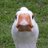 FSmit14's profile image