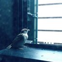 川上 和徳 (復活) (@0507Friendly) Twitter