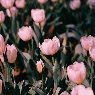 AnteBlog's profile picture. Blog critique vis à vis de l'actu et de la société.