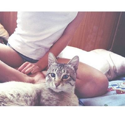 _Lizalopatina's profile picture. 