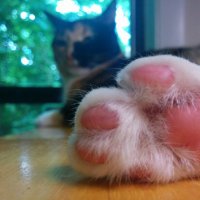 opsop (@pkyn74) 's Twitter Profile